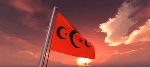 a red flag with a crescent moon and star