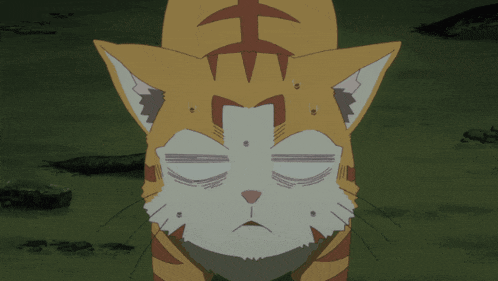 a close up of a cat 's face with a serious look on it 's face