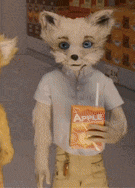 a stuffed animal with a fox mask is holding a box of apple juice