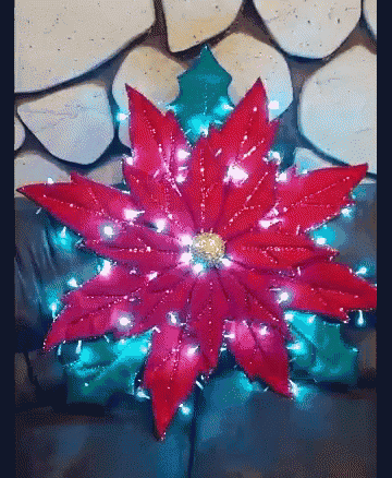 a red poinsettia with christmas lights around it is on a couch .