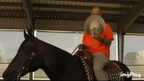 a man wearing an orange shirt is riding a black horse