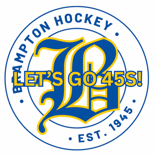 a blue and yellow logo for bampton hockey