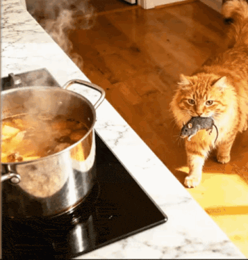 a cat is holding a mouse in its mouth in front of a pot of soup