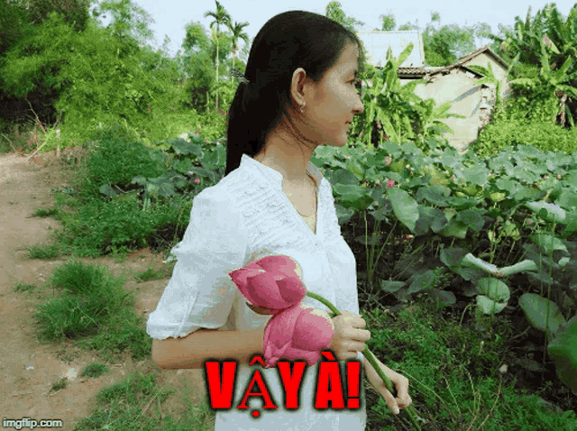 Vậyà GIF