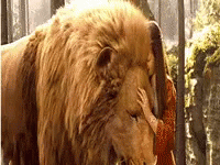 Lion Narnia GIF - Lion Narnia Hug GIFs