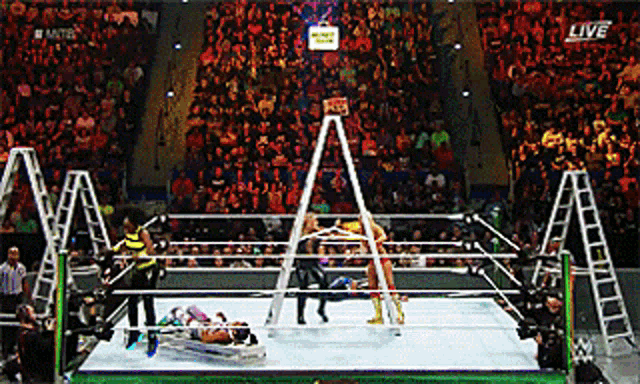 a wrestling match is being broadcast live on a television