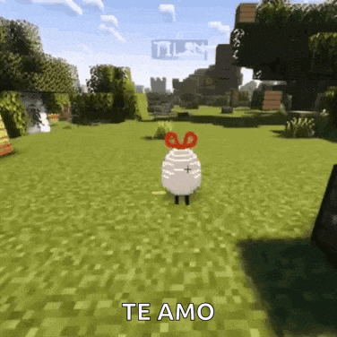 Qsmp Tilin GIF