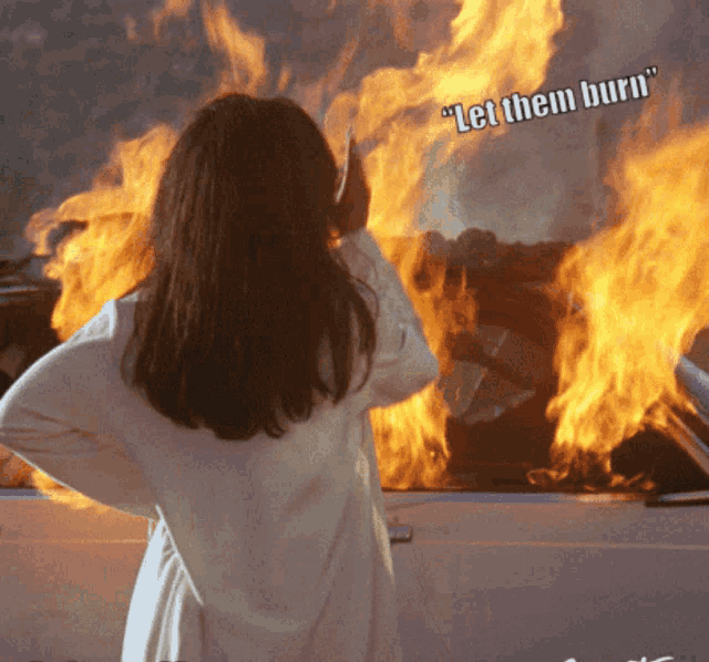 a woman is standing in front of a fire with the words " let them burn " written above her