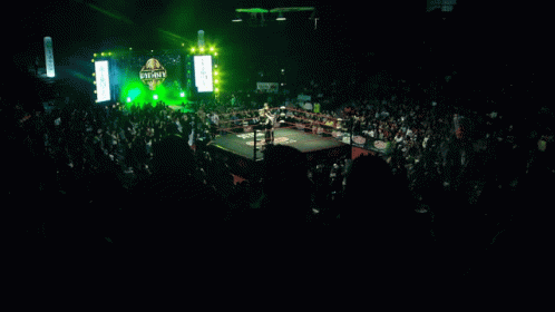 Mlw Major League Wrestling GIF - Mlw Major League Wrestling The Dynasty GIFs