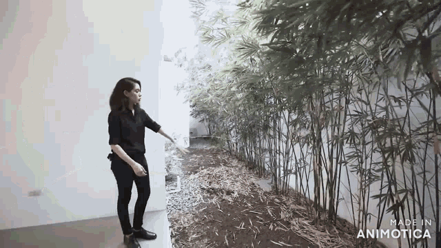a woman in a black shirt is standing in front of a row of bamboo plants .