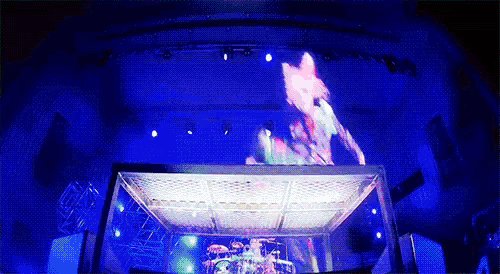 a fox is projected on a large screen on a stage at a concert