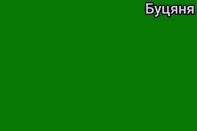 a green background with a colorful bar and the date 22.02.2019