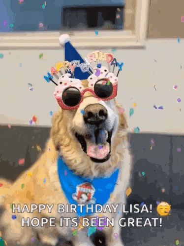 a dog wearing a birthday hat and sunglasses says happy birthday lisa