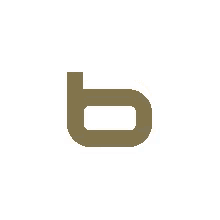 a logo for a company called bling madrid