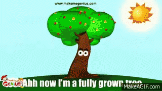 Fully Grown Tree Seed GIF - Fully Grown Tree Seed Germination GIFs