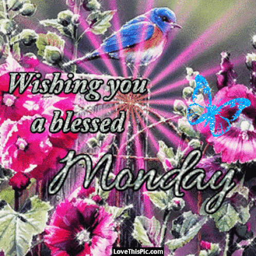 a picture of flowers with the words wishing you a blessed monday on it