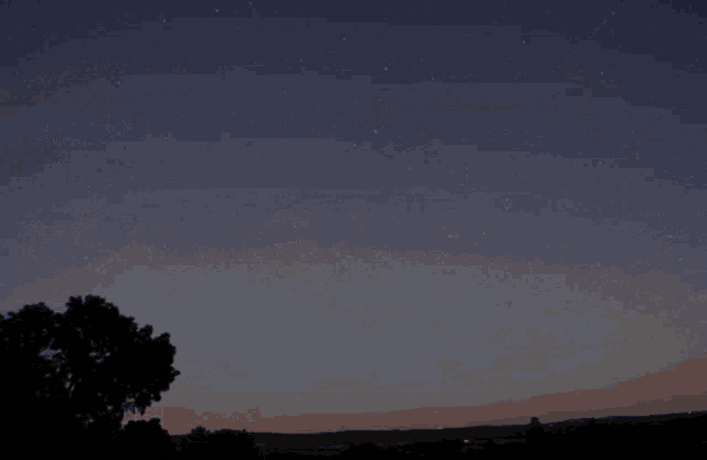 a tree is silhouetted against a starry sky