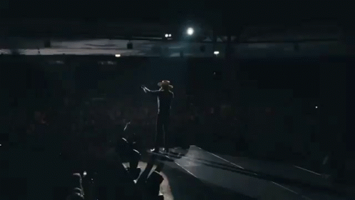 Pointing Crowd GIF - Pointing Crowd Concert GIFs