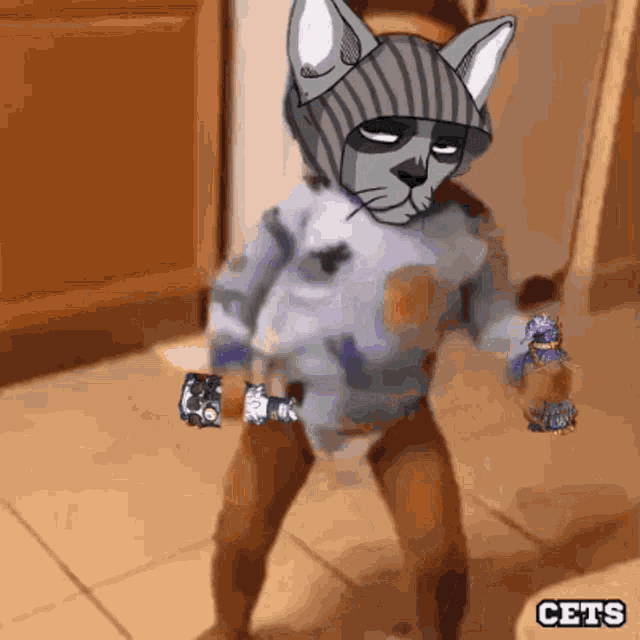 a baby in a diaper with a cat on his head and the word cets below it