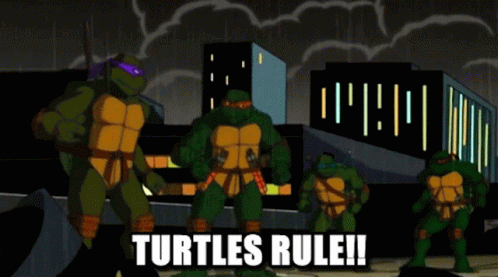 Tmnt Turtles Rule GIF