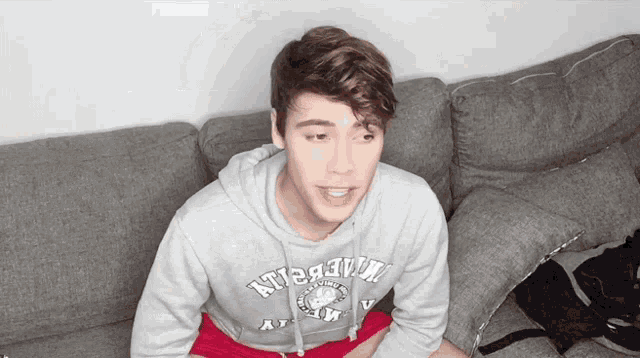 a young man is sitting on a couch wearing a grey hoodie that says ' made in ny ' on it