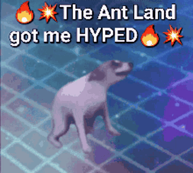 a picture of a dog with the words " the ant land got me hyped " on it