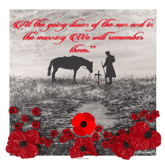 Remembrance Day GIF - Remembrance Day GIFs
