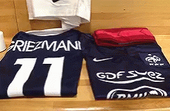 France World Cup GIF - France World Cup Antoine Griezmann GIFs