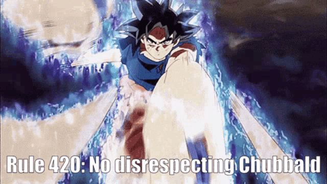 a picture of a person with the words rule 420 no disrespecting chubbald on it