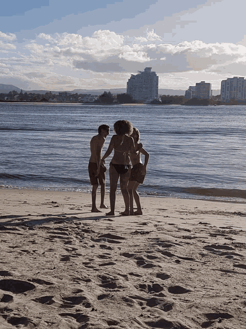 a group of people standing on a beach looking at the water