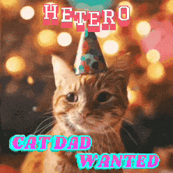a cat wearing a party hat with the words hetero cat dad wanted above it