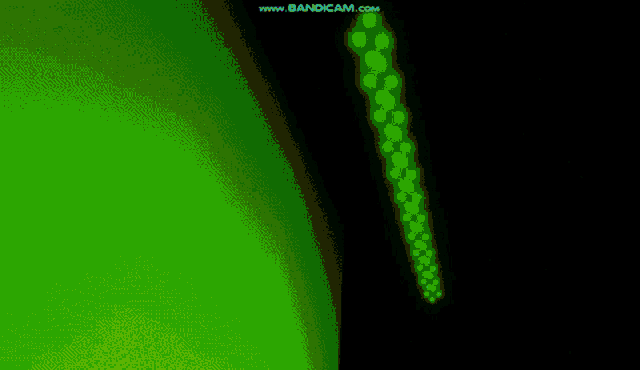 Color Lights GIF