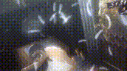 a blurred image of a person with the number 3131 on their head