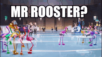 a group of flamingos are standing in a room with the words mr rooster above them
