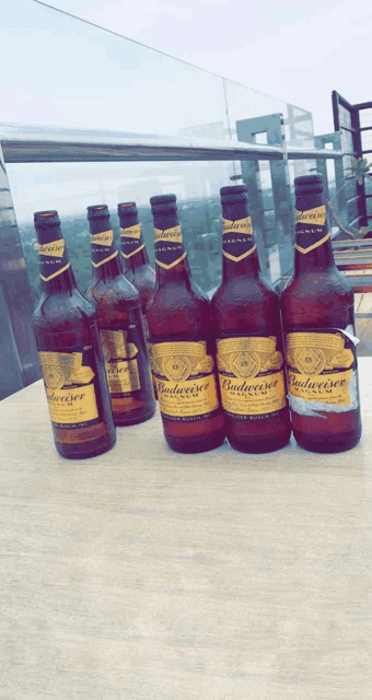 six bottles of budweiser sit on a table