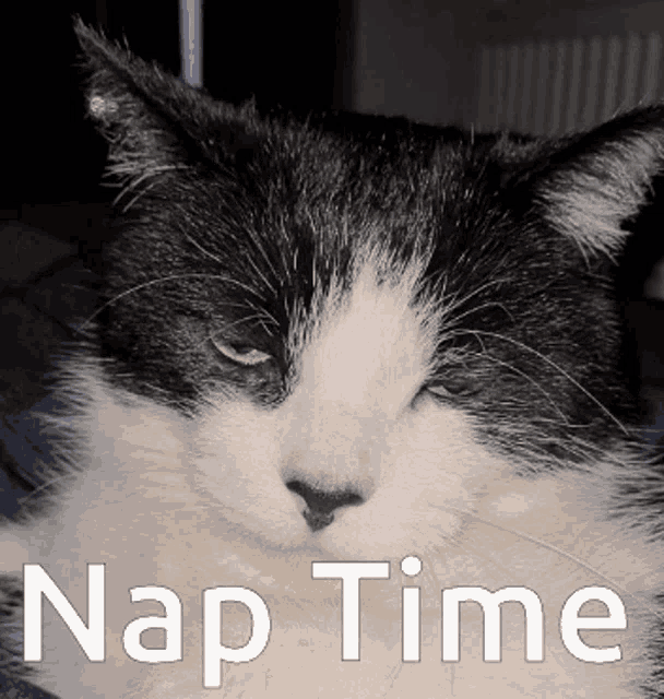 Geeza Nap Time GIF - Geeza Nap Time Chill Dude GIFs