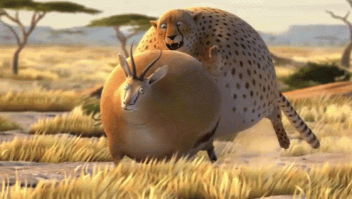 a cheetah is sitting on top of a very fat antelope