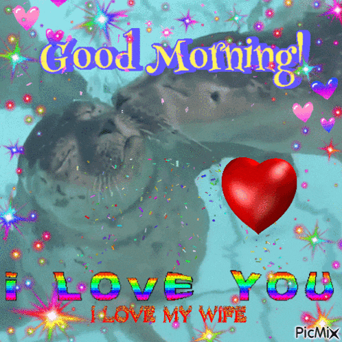 a picture of two seals kissing with the words " good morning i love you "