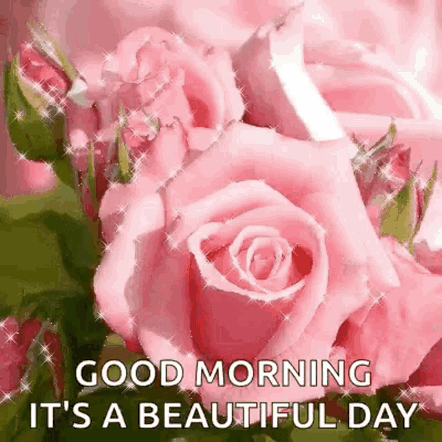 a bouquet of pink roses with the words `` good morning it 's a beautiful day ''