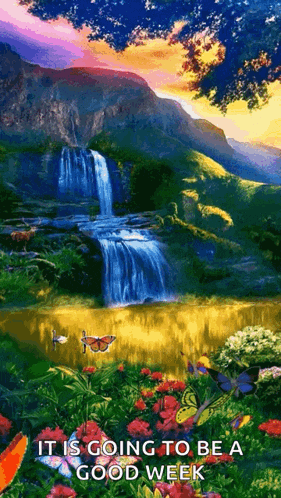 a waterfall is surrounded by flowers and butterflies with the words it is going to be a good week