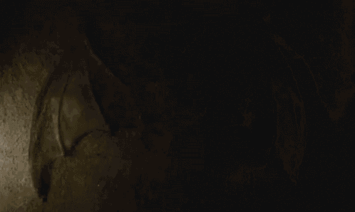 a bat is carved into the wall of a cave in the dark .