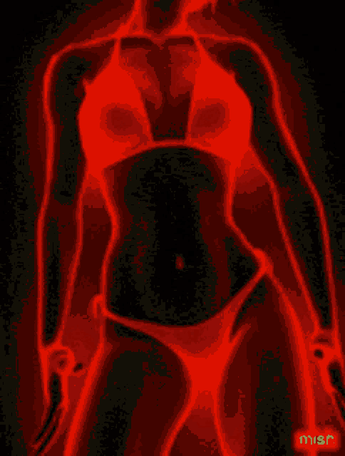 a picture of a woman in a bikini with the word mish on the bottom left