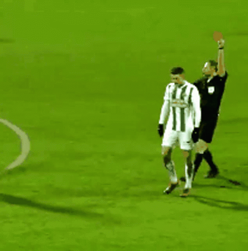 Sk Rapid GIF - Sk Rapid Red Card GIFs