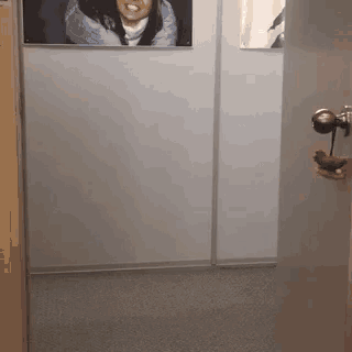 a door with a picture of a woman on the wall
