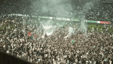 a crowd of people are gathered in a stadium with a banner that says team del