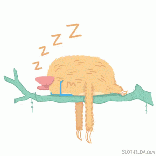 Sloth Sleep GIF - Sloth Sleep GIFs