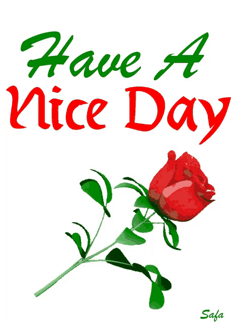 a red rose with green leaves is on a white background with the words have a nice day