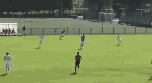 a group of people playing soccer on a field
