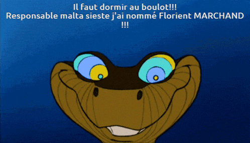 a picture of a cartoon snake with a caption in french