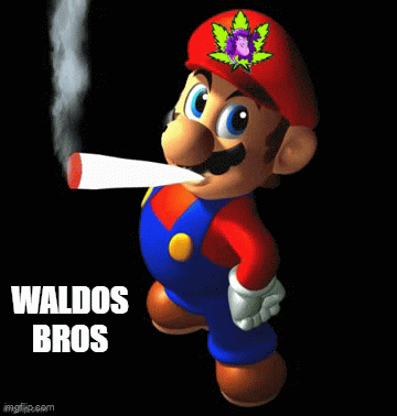 a picture of mario smoking a cigarette with the words " waldo 's bros " below him